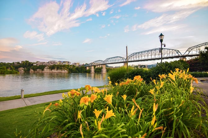 Embrace the Vibrant Beauty of Spring in Chattanooga: Things to Do