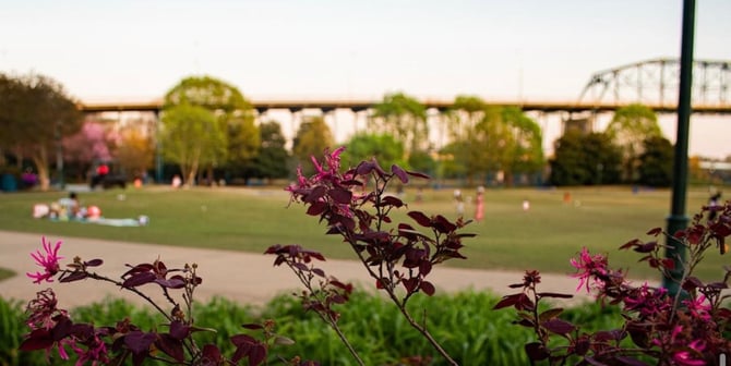 Top Free Summer Activities in Chattanooga (2026)