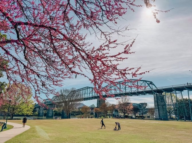 2026 Top 5 Spring Activities in Chattanooga