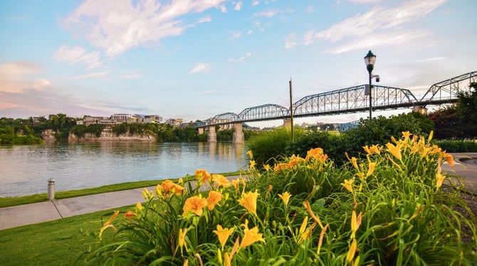 Embrace the Vibrant Beauty of Spring in Chattanooga: Things to Do