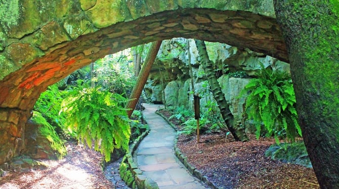 Looking For An Outdoor Adventure? Chattanooga Has You Covered!