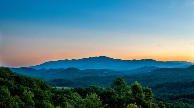 Spring Delights in Blue Ridge, Georgia - Uncover Nature's Beauty