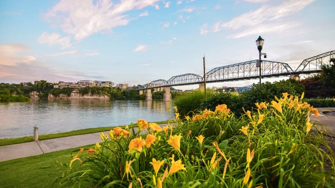 Embrace the Vibrant Beauty of Spring in Chattanooga: Things to Do