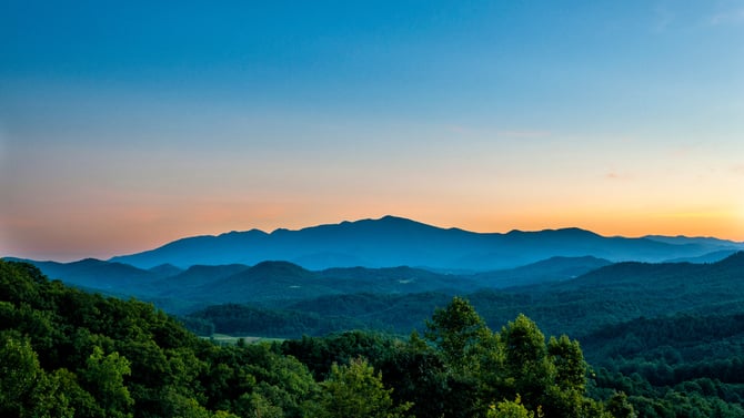 Spring Delights in Blue Ridge, Georgia - Uncover Nature's Beauty