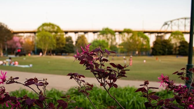 Top Free Summer Activities in Chattanooga (2026)