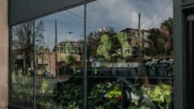 Woman-Owned Businesses We Love in Chattanooga