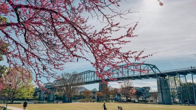 2026 Top 5 Spring Activities in Chattanooga